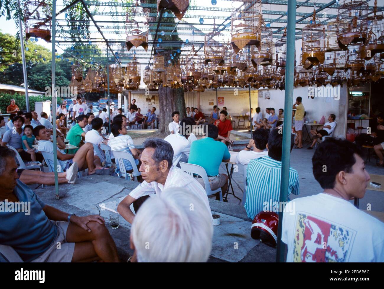 Singapore Sunday Morning People Sitting in Cafe & Birds in Cages Above Heads Stock Photo