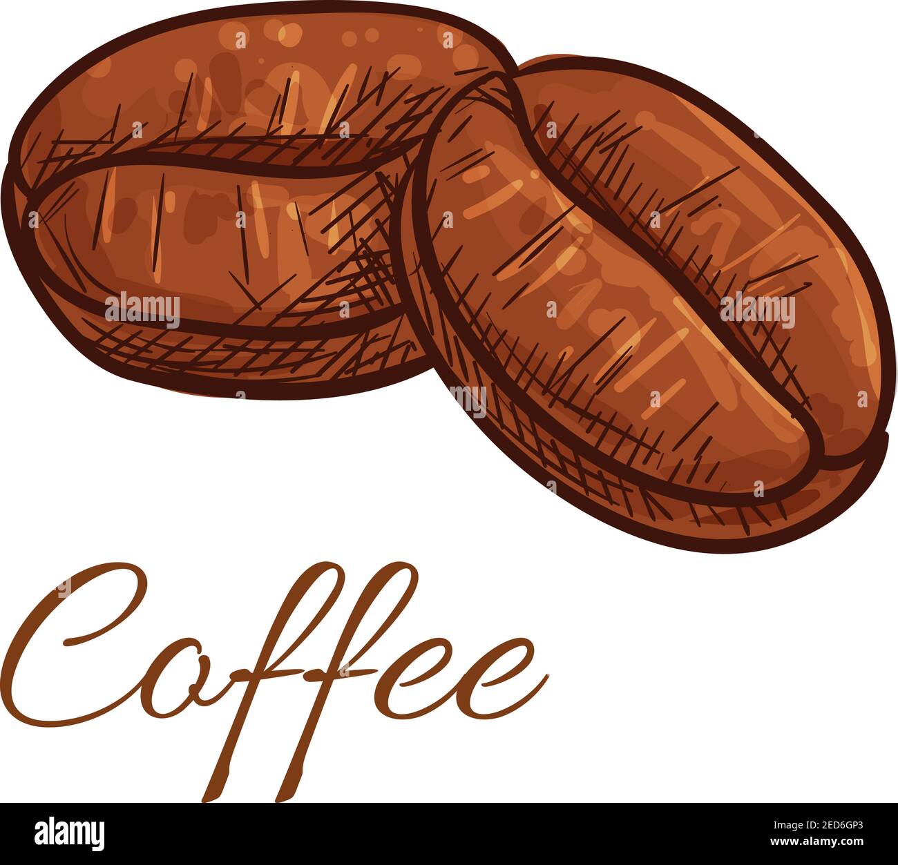Coffee bean icon set. Hand drawn doodle sketch vector symbol of coffee beans  harvest. Hot drink label design elements Stock Vector Image & Art - Alamy