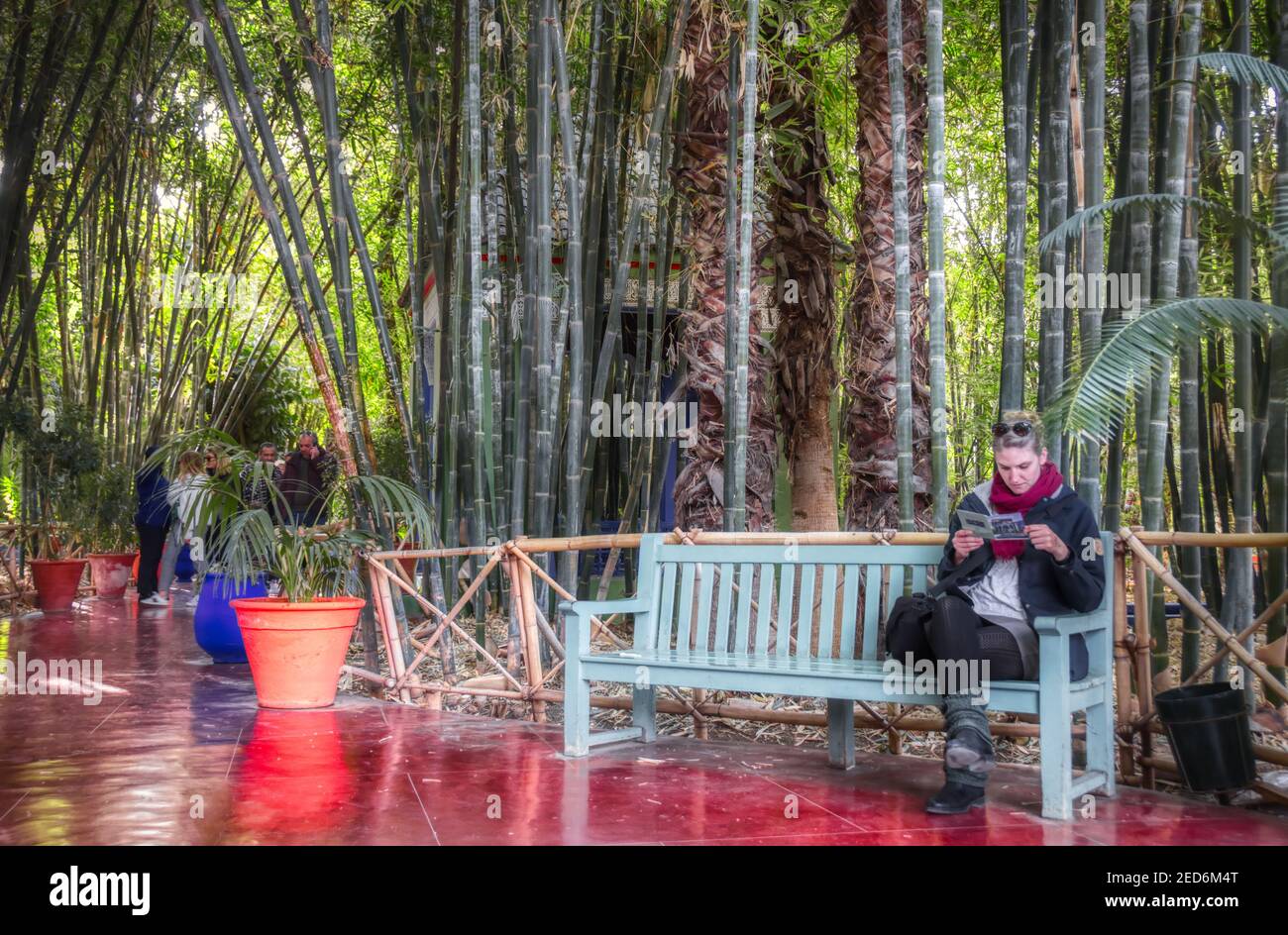 Girl reading on a bench under tall bamboos Stock Photo