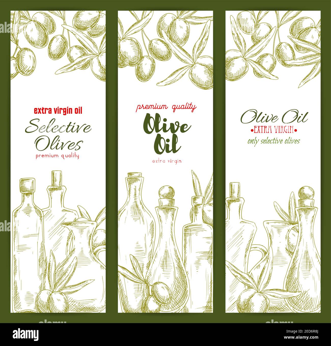 Olive oil banner set with sketched fruit and branches of olive tree and ...