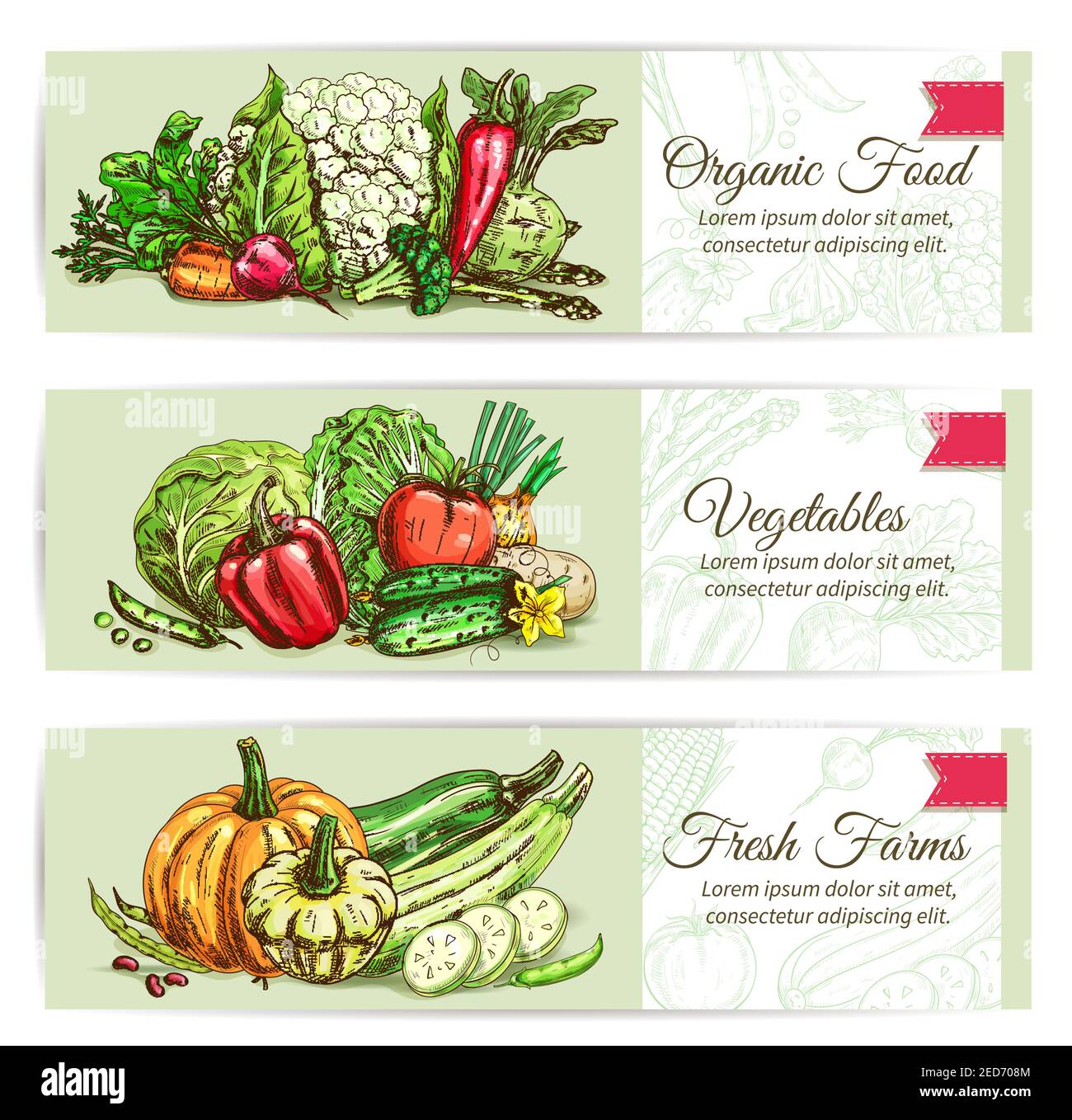Organic vegetables sketch banner set. Fresh farm veggies label with ...