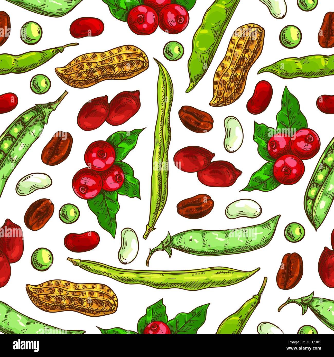 Beans and nuts pattern. Fresh and roasted coffee beans, nutritious dried peanuts in shell