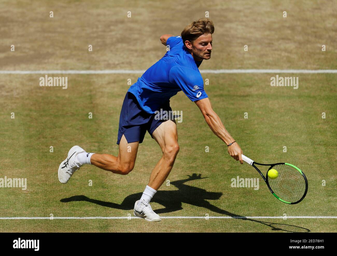 Tennis - ATP 500 - Halle Open - Gerry Weber Stadion, Halle, Germany - June  22, 2019 Belgium's David Goffin in action during his semi final match  against Italy's Matteo Berrettini REUTERS/Leon Kuegeler Stock Photo - Alamy