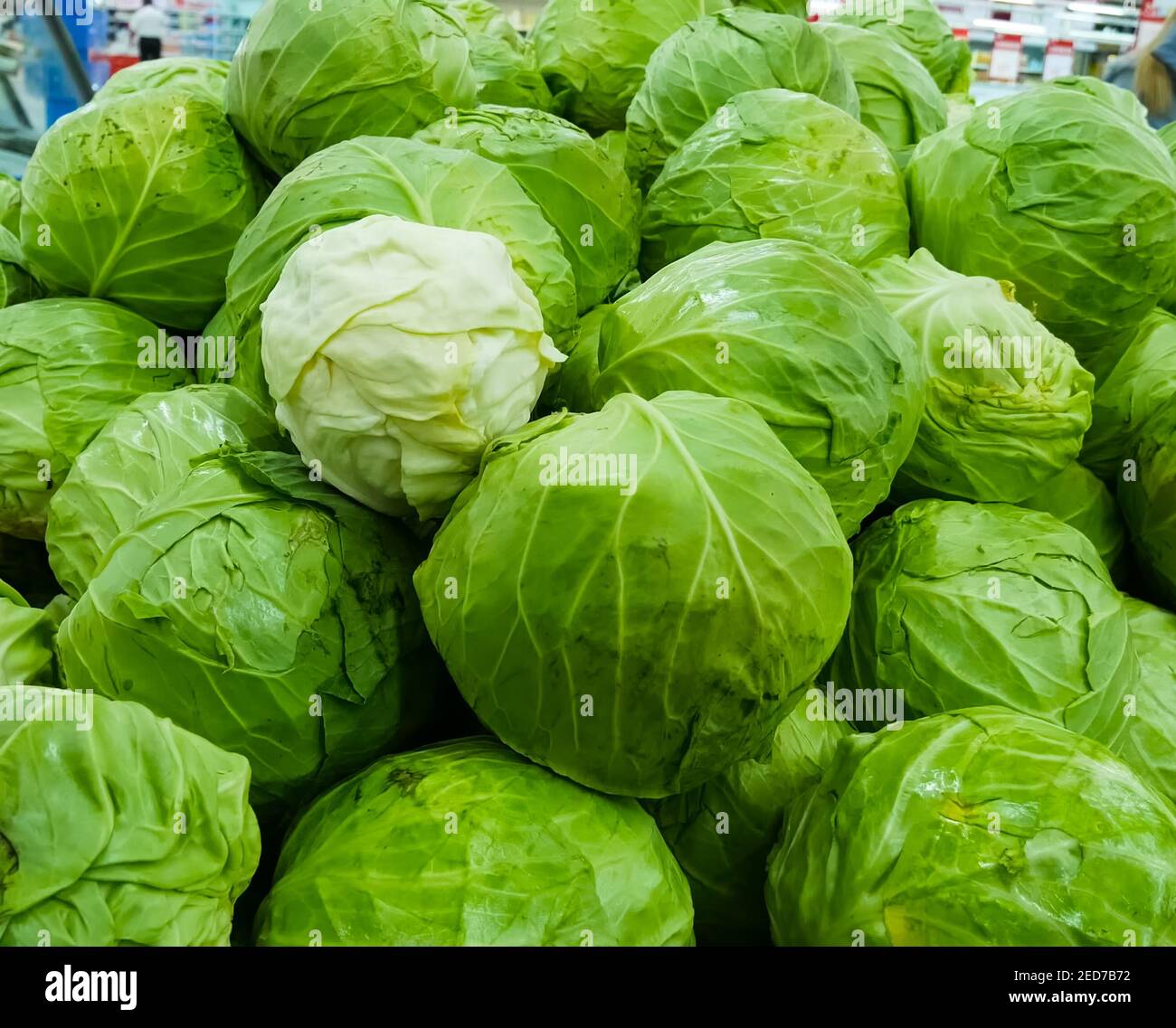 A pile of cabbages in the market. Fresh vegetables cabbage Stock Photo