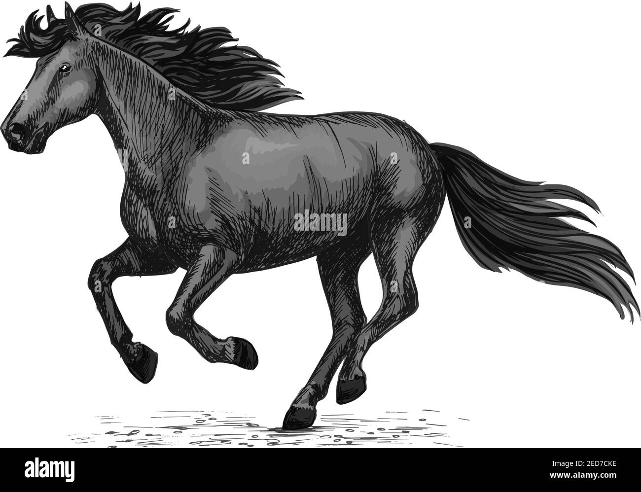 Horse racing vector sketch. Black wild mustang running on races. Farm stallion animal for equestrian horserace club or sport riding bets and equine ex Stock Vector