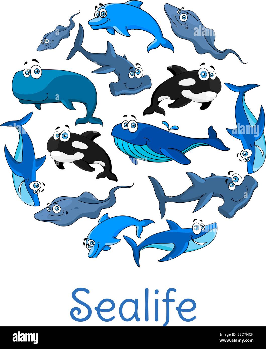 Cartoon fishes or sea animals. Ocean or sealife blue dolphin, sperm whale of cachalot, stingray and white shark, hammerhead fish, killer whale or orca Stock Vector