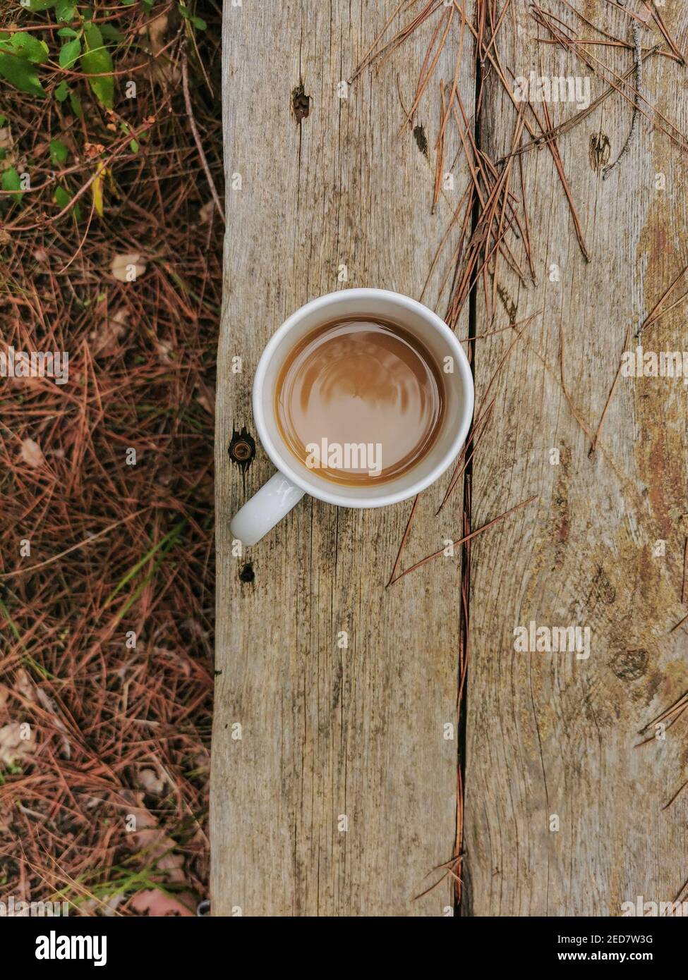 White Coffee Ceramic Mug on Wooden panel outdoor in fall atmosphere Stock Photo