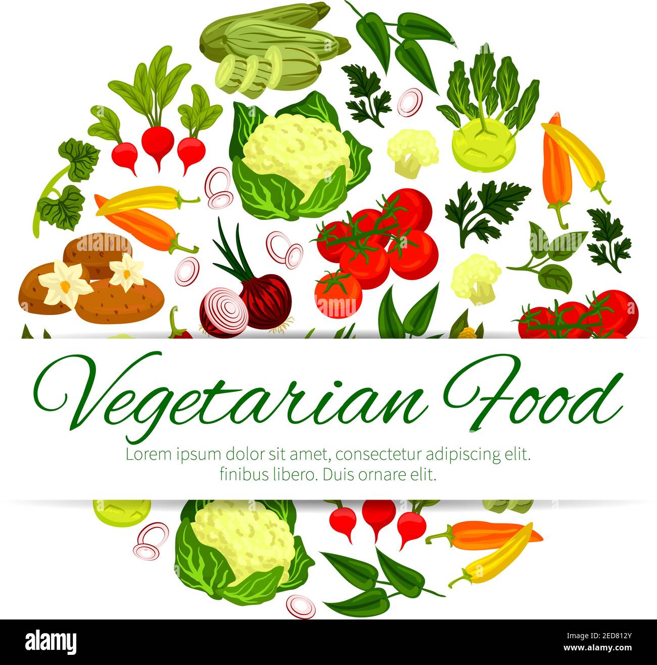 Healthy vegetable, vegetarian food banner. Zucchini or courgette