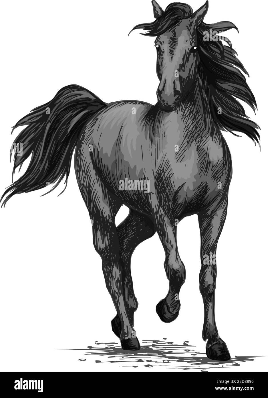 Horse racing or galloping vector sketch. Wild mustang running on races. Farm black stallion animal symbol for equestrian horserace club or sport ridin Stock Vector