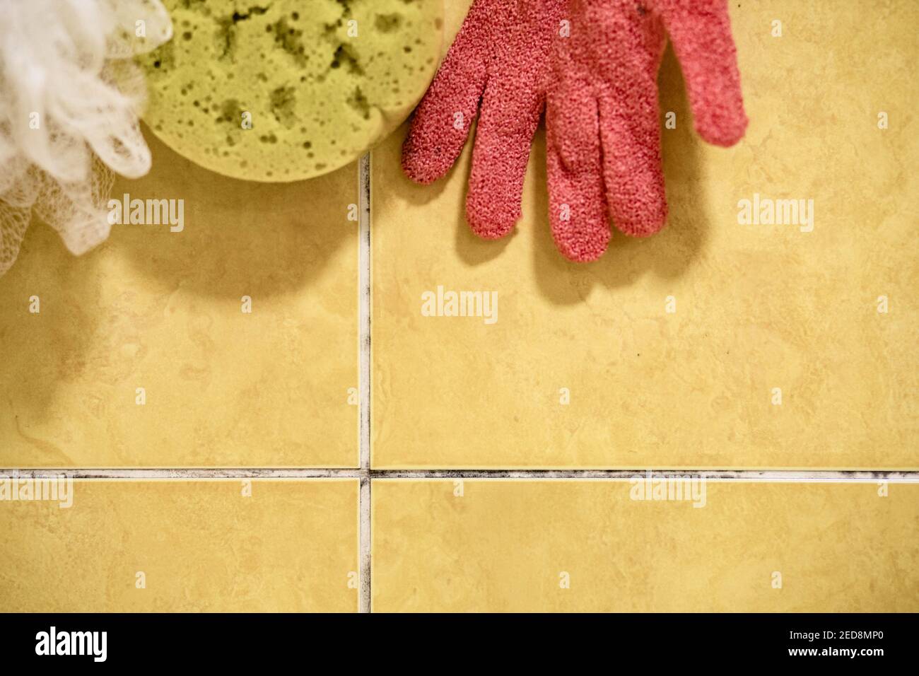 Mold between ceramic tiles in the bathroom. Cleaning equipment Stock