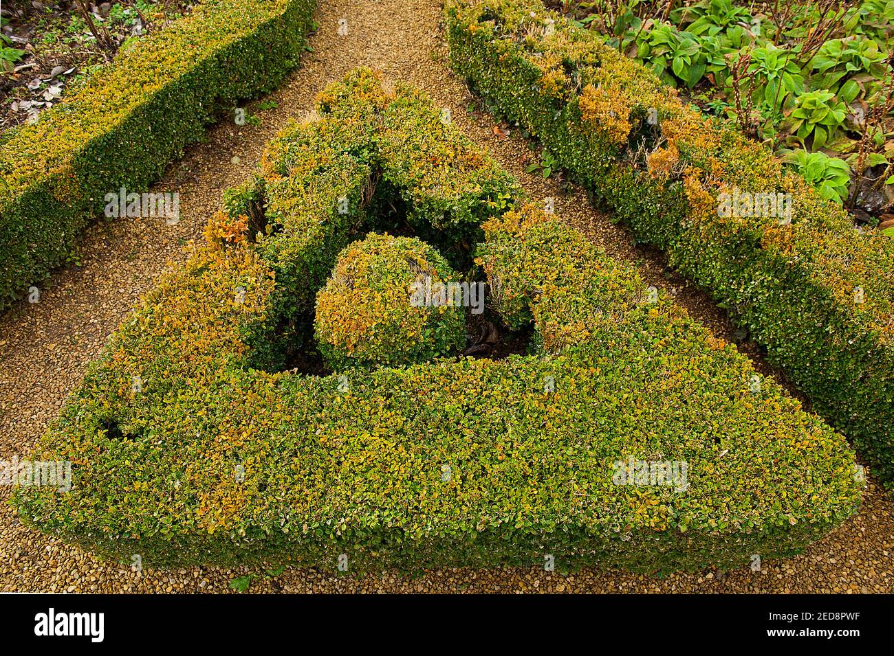 Hedge trimming edge hires stock photography and images Alamy