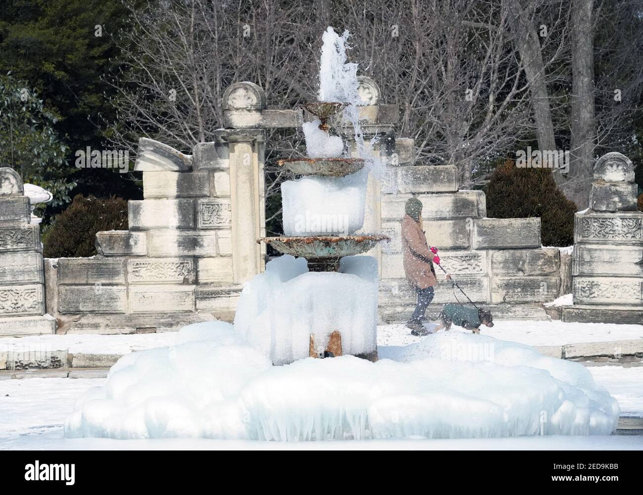 St. Louis, United States. 14th Feb, 2021. A woman walks her dog past the nearly frozen fountain in Tower Grove Park in St. Louis on Sunday, February 14, 2021. The high temperature for St. Louis is 7 degrees for the day. Photo by Bill Greenblatt/UPI Credit: UPI/Alamy Live News Stock Photo