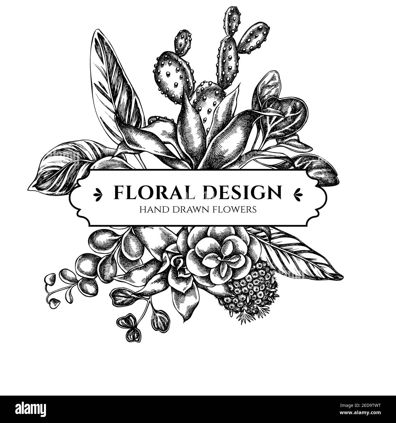 Floral bouquet design with black and white ficus, iresine, kalanchoe, calathea, guzmania, cactus Stock Vector