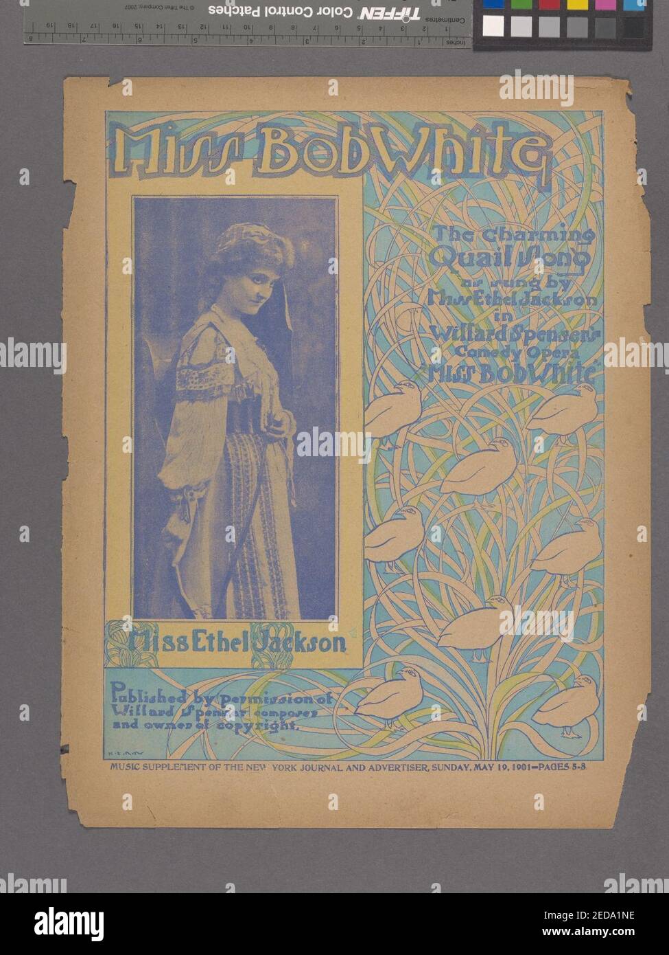 Bob White - Quail song Stock Photo - Alamy