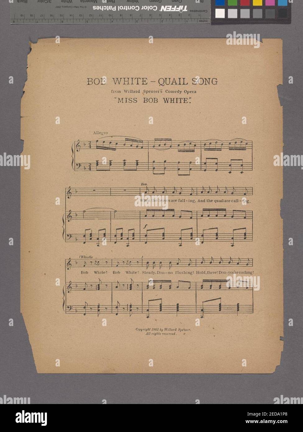 Bob White - Quail song Stock Photo - Alamy