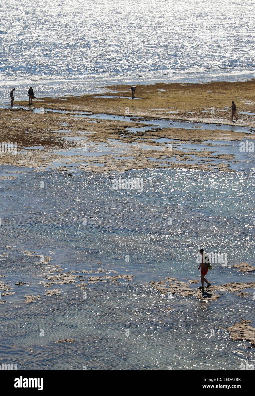 Tourists walk at the beach during a low tide in the Red Sea resort of Sharm  el-Sheikh, Egypt February 14, 2021. REUTERS/Amr Abdallah Dalsh Stock Photo  - Alamy