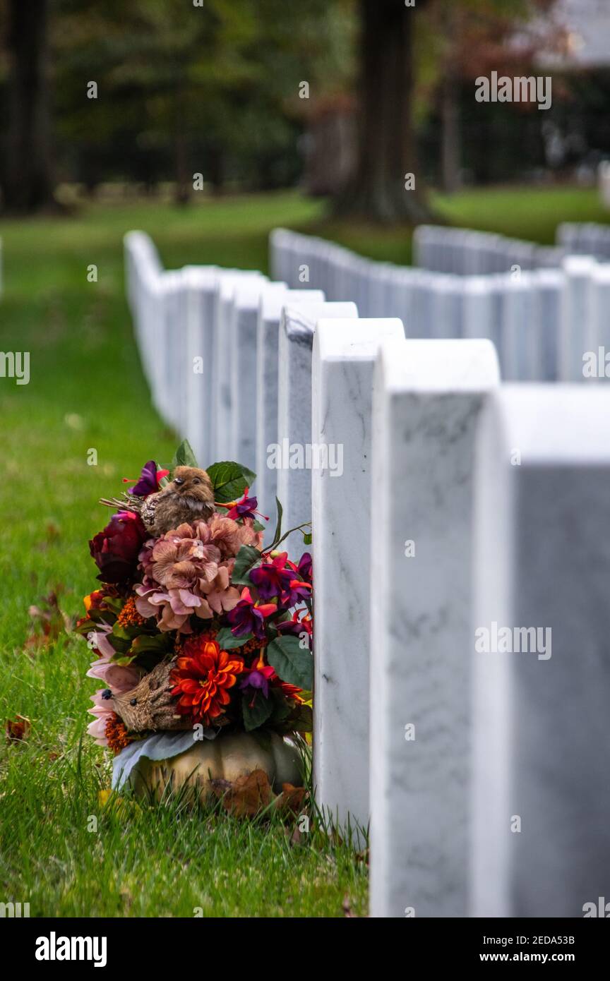Single flower bouquet at tombstone in row of tombstones, Arlington