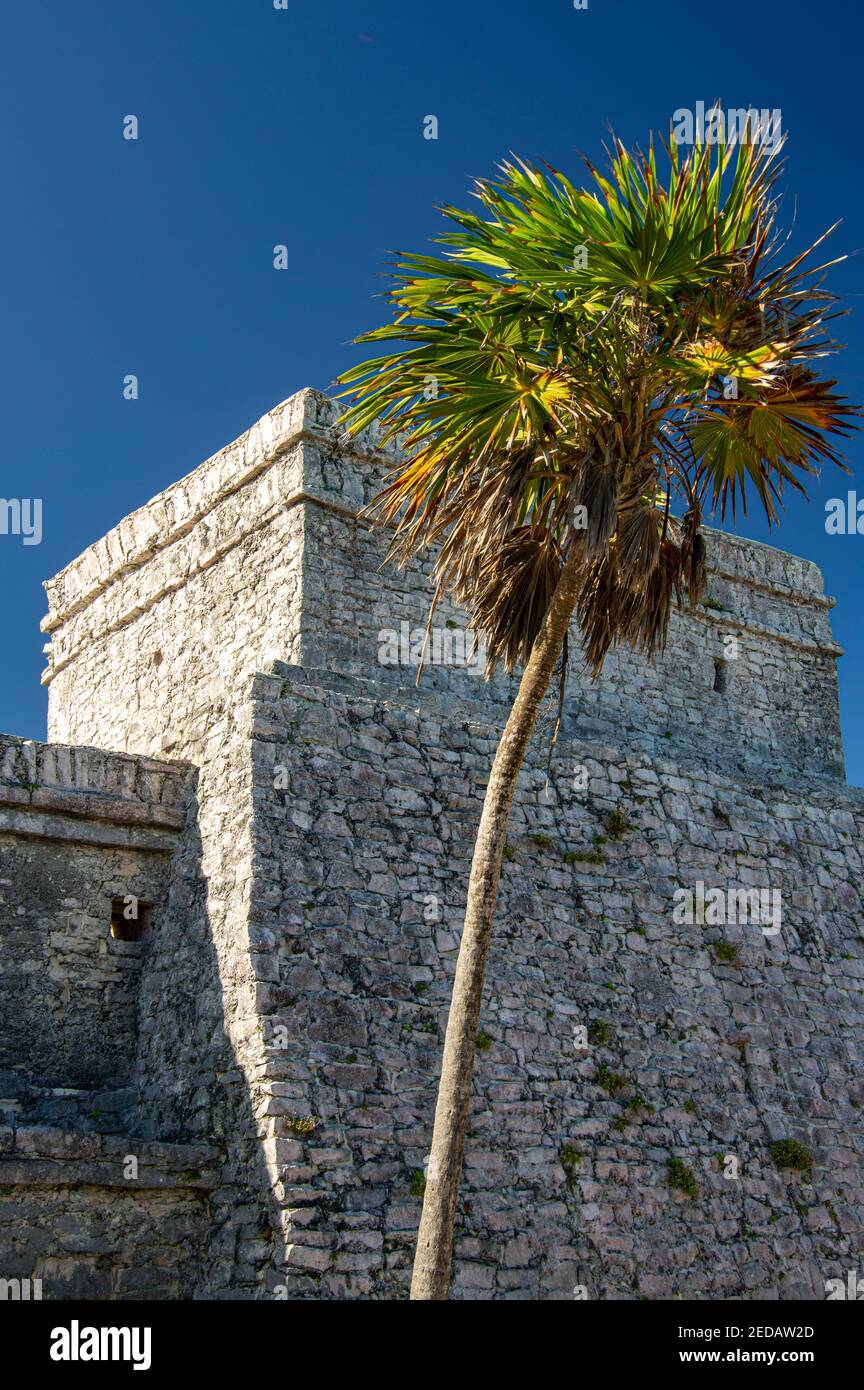 The Mayan ruins of Tulum on the Yucatán peninsula in the state of Quintana Roo, Mexico Stock Photo