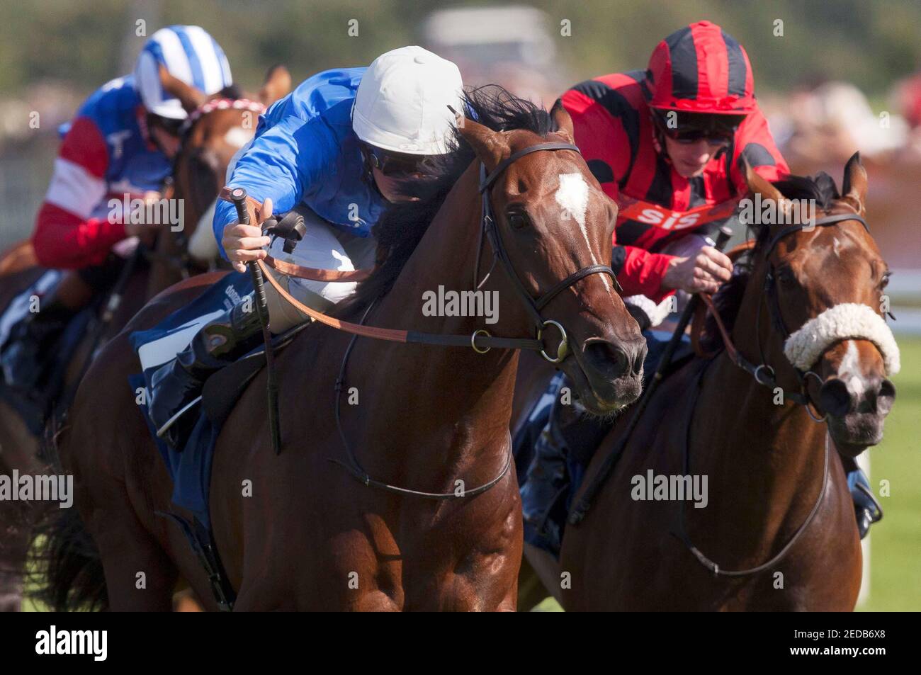 Quick horse hires stock photography and images Alamy