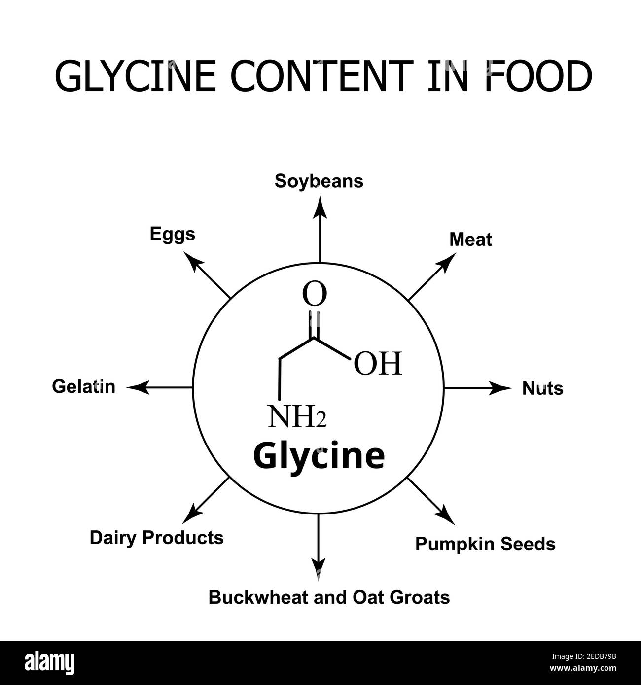 Glycine content in food. Amino acid glycine chemical molecular formula. Vector illustration on isolated background Stock Vector