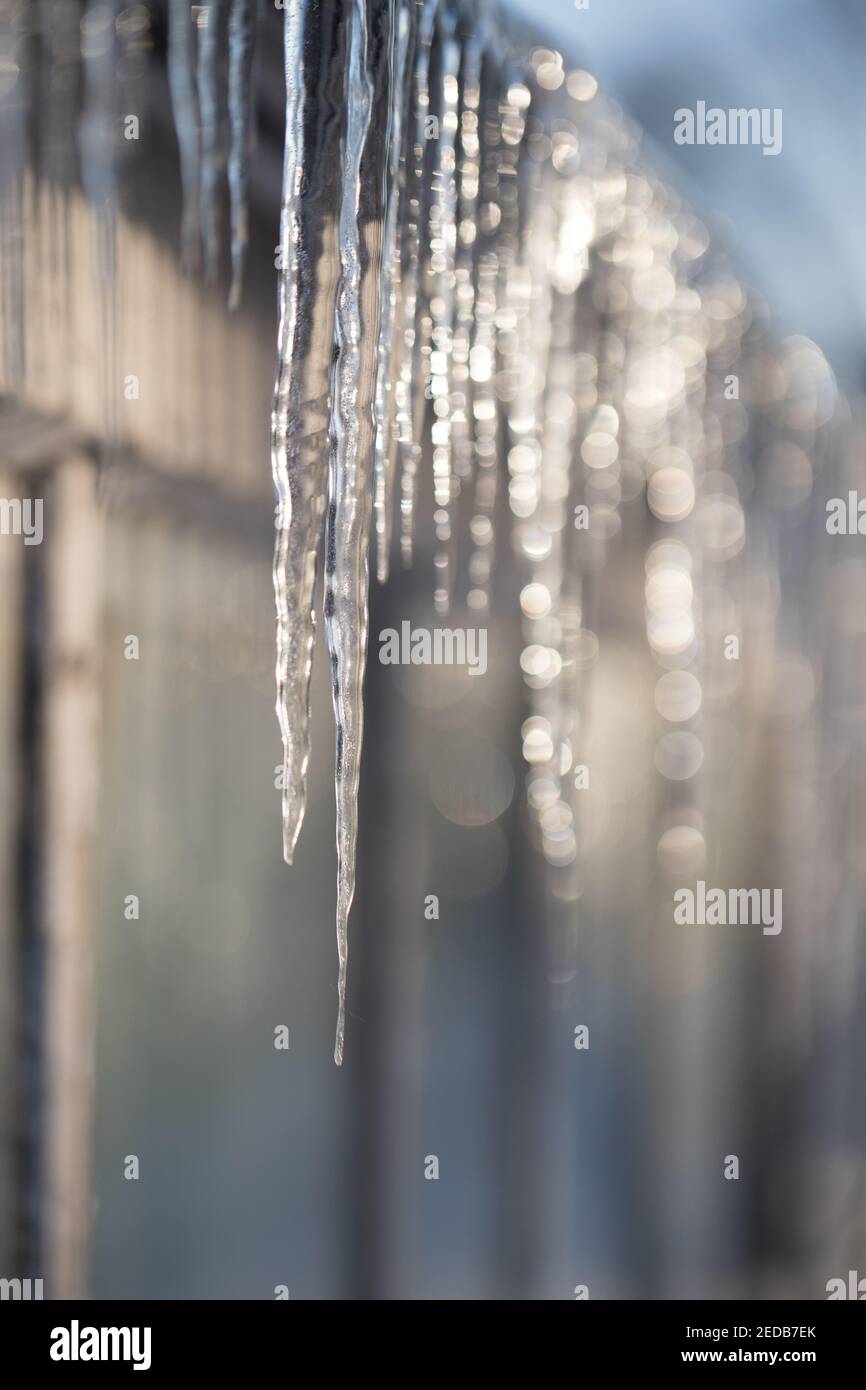 Sharp icicles on the roof of greenhouse in sunny winter day on the sunny side Stock Photo
