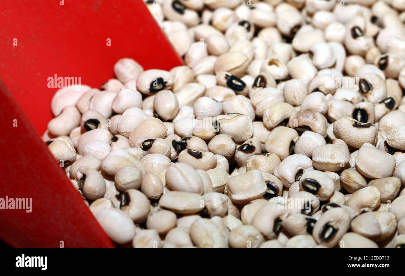 Raw Food Legume Kidney Bean Close Up Stock Photo Alamy
