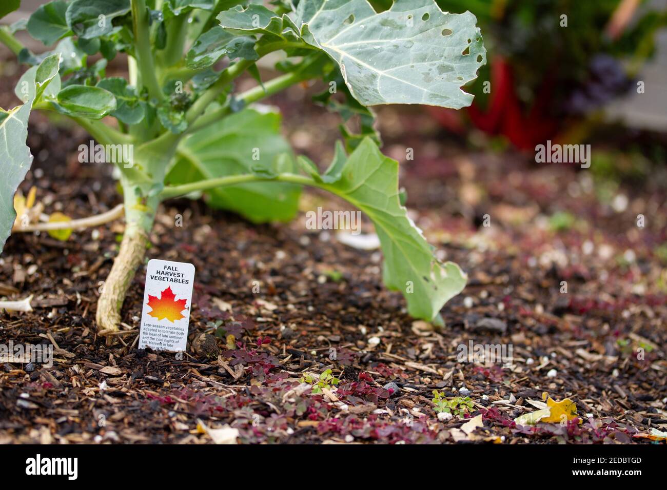 Sustainable community hi-res stock photography and images - Alamy