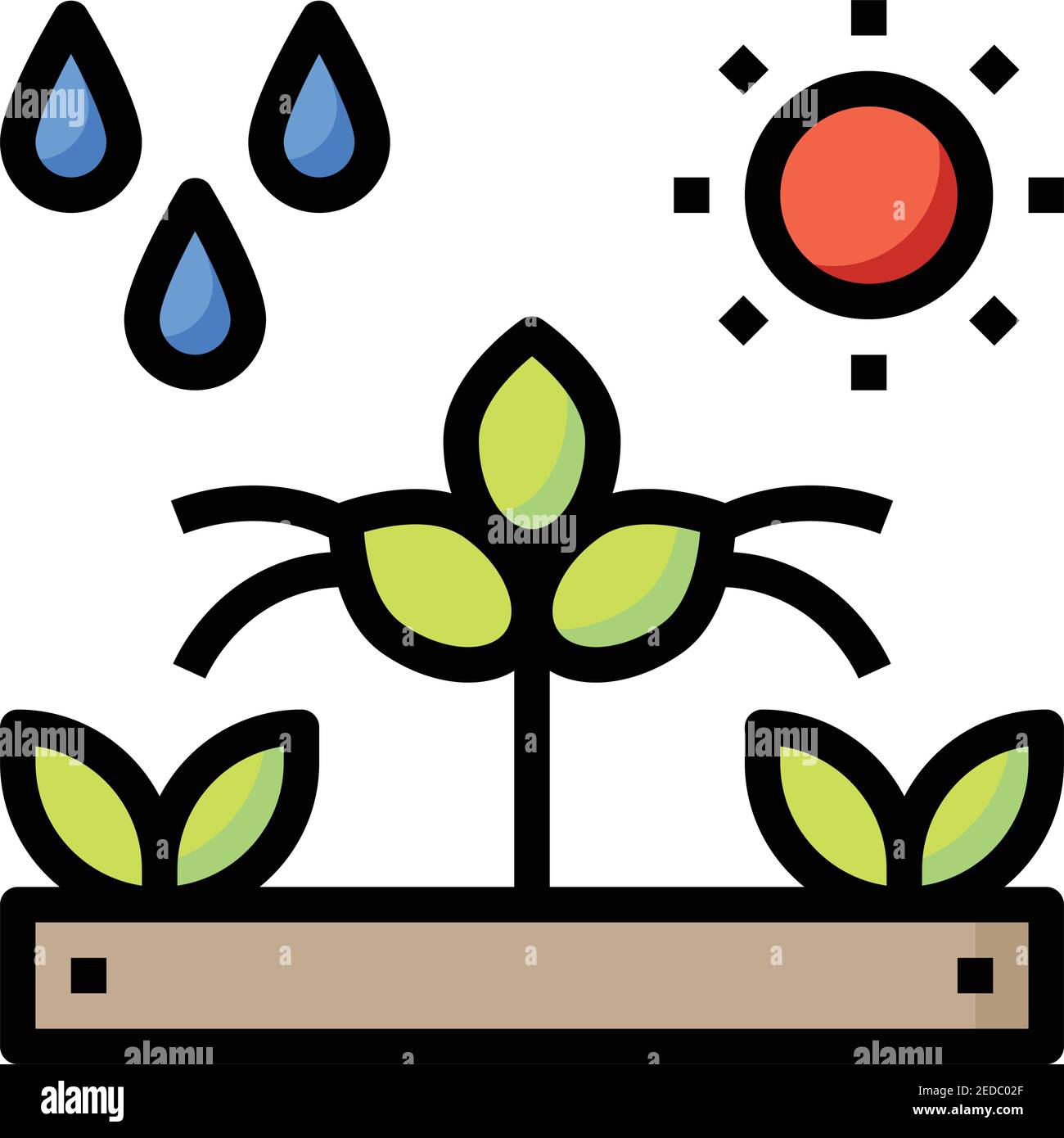 garden-sun-photosynthesize-seedling-growing Stock Vector