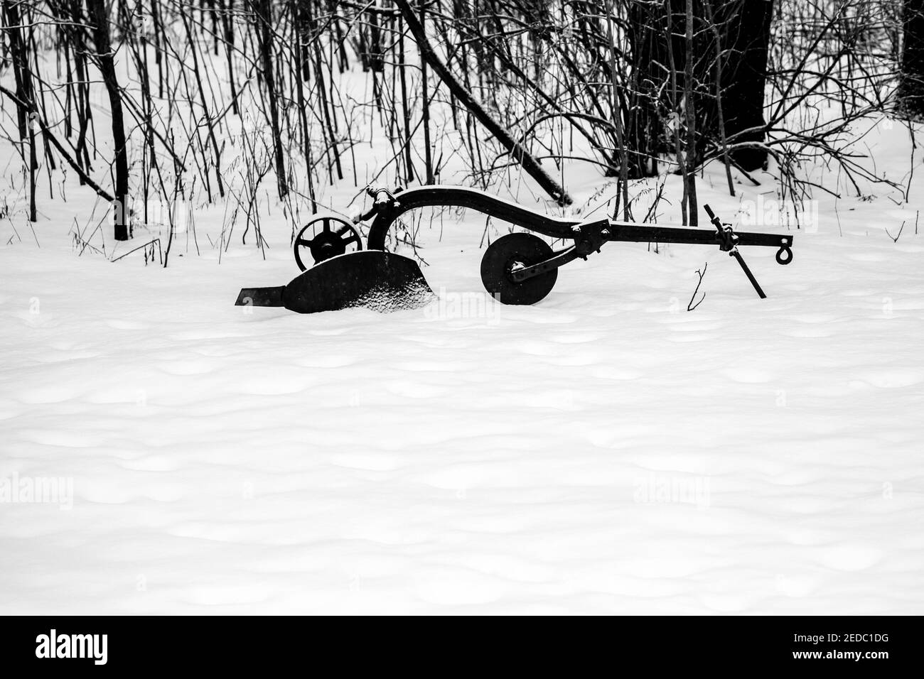Snow covered antique plow next to a Wisconsin forest in winter, B&W horizontal Stock Photo