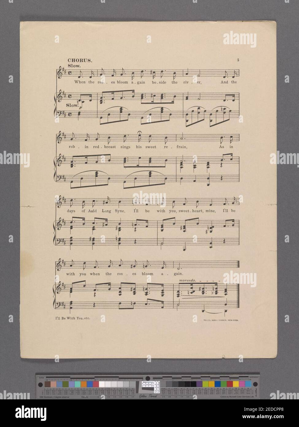 I'll be with you when the roses bloom again Stock Photo Alamy