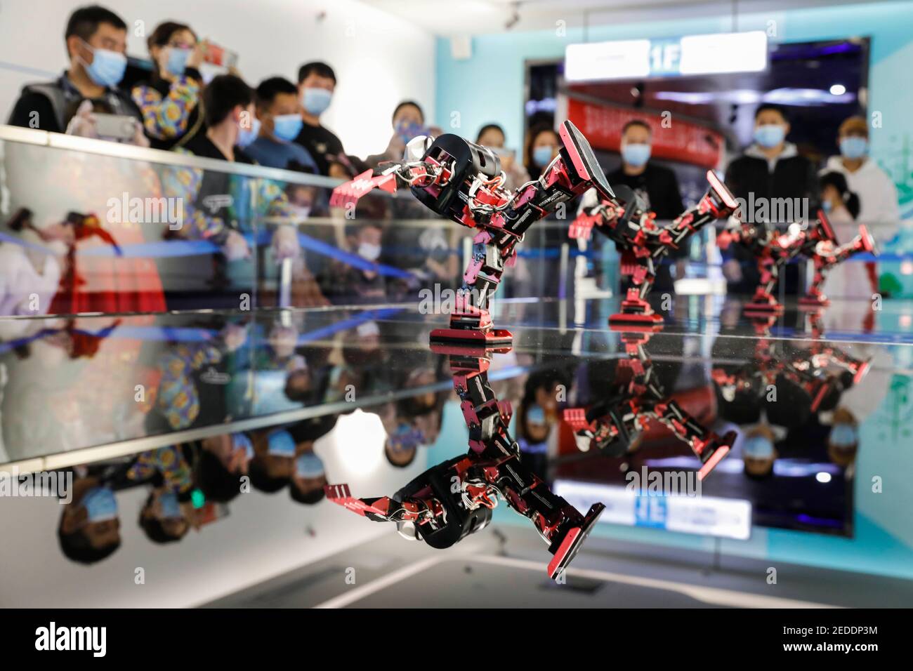 Beijing, China's Henan province. 14th Feb, 2021. Visitors view the performance of robots in Baofeng County, central China's Henan province, Feb. 14, 2021. Credit: He Wuchang/Xinhua/Alamy Live News Stock Photo