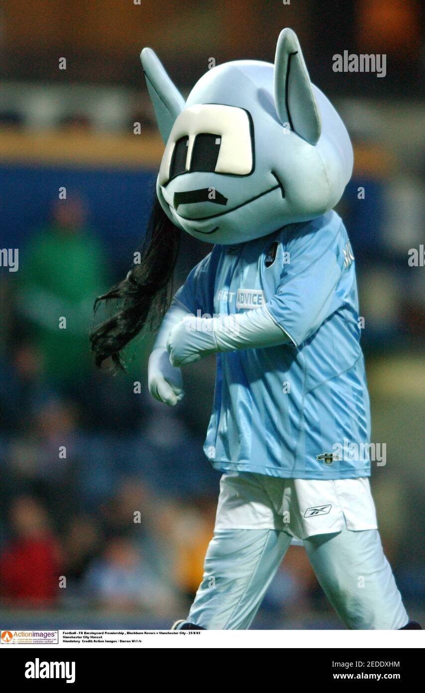 Manchester City Mascot High Resolution Stock Photography and Images - Alamy