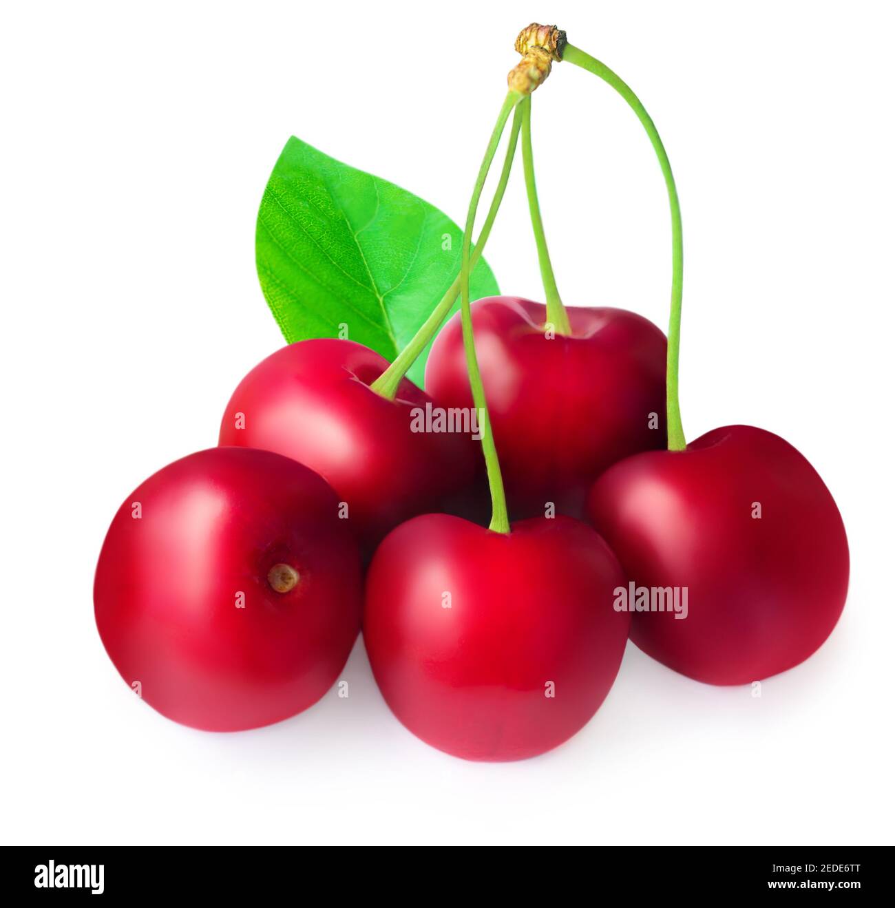 Red Cherry with green leaves isolated on white background. Fresh Cherry