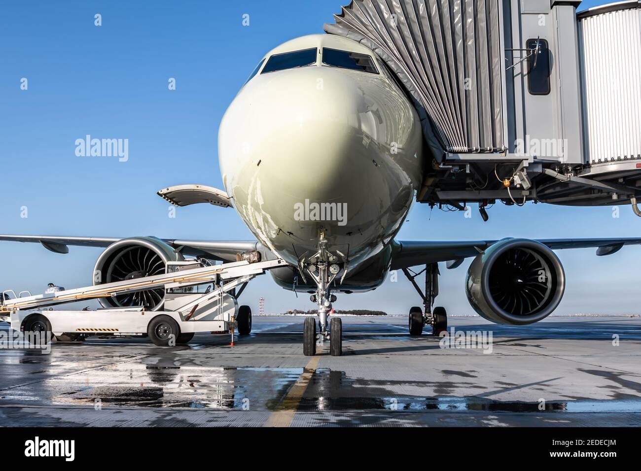 The passenger aircraft stands at the boarding bridge on an airport