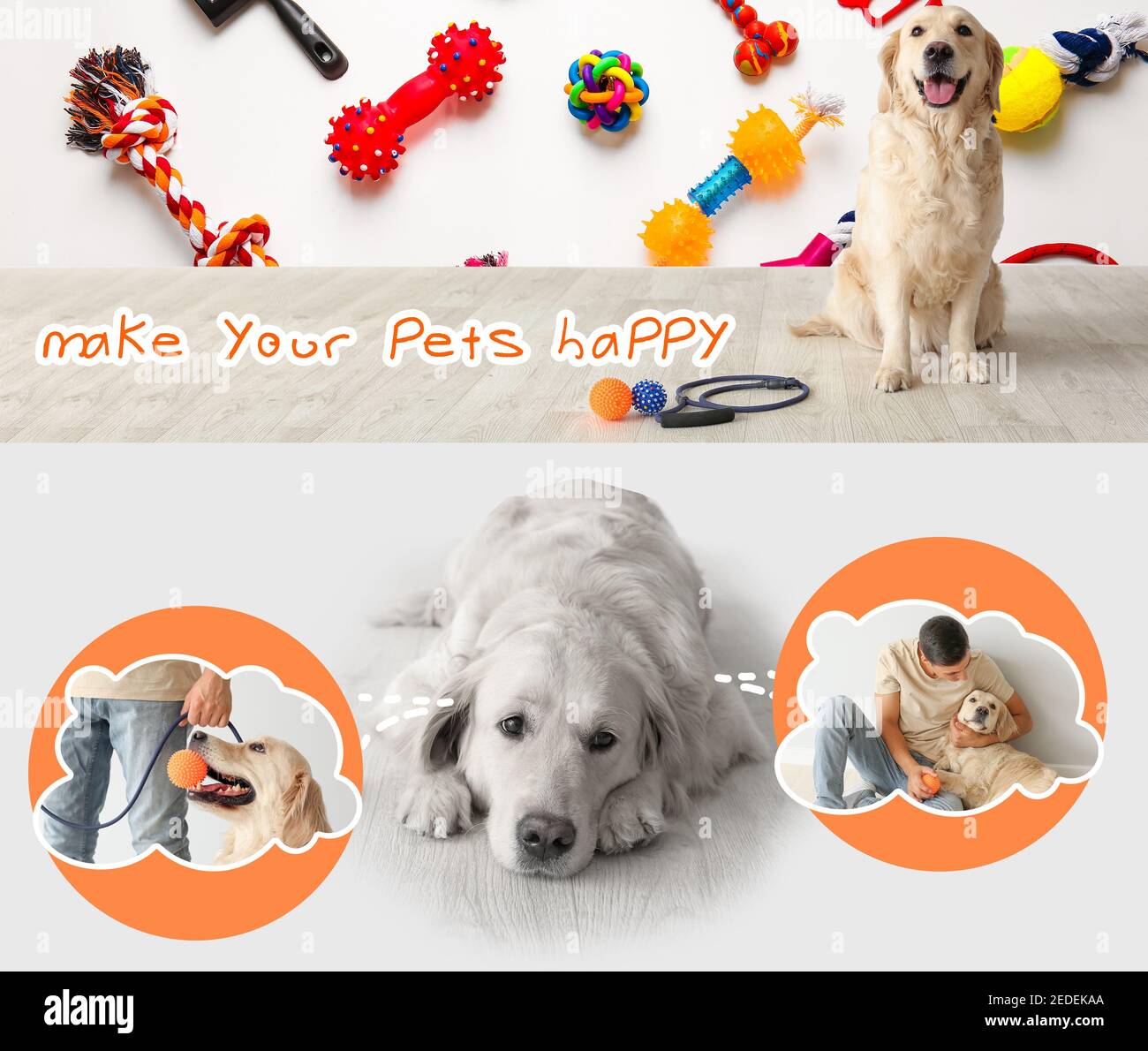 Cute dog accessories for small dogs discount