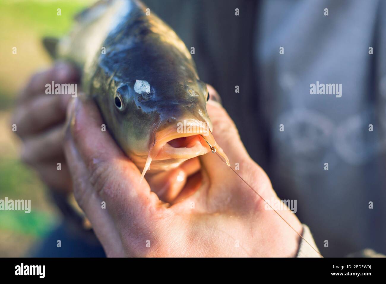 Fish hook hand hi-res stock photography and images - Alamy
