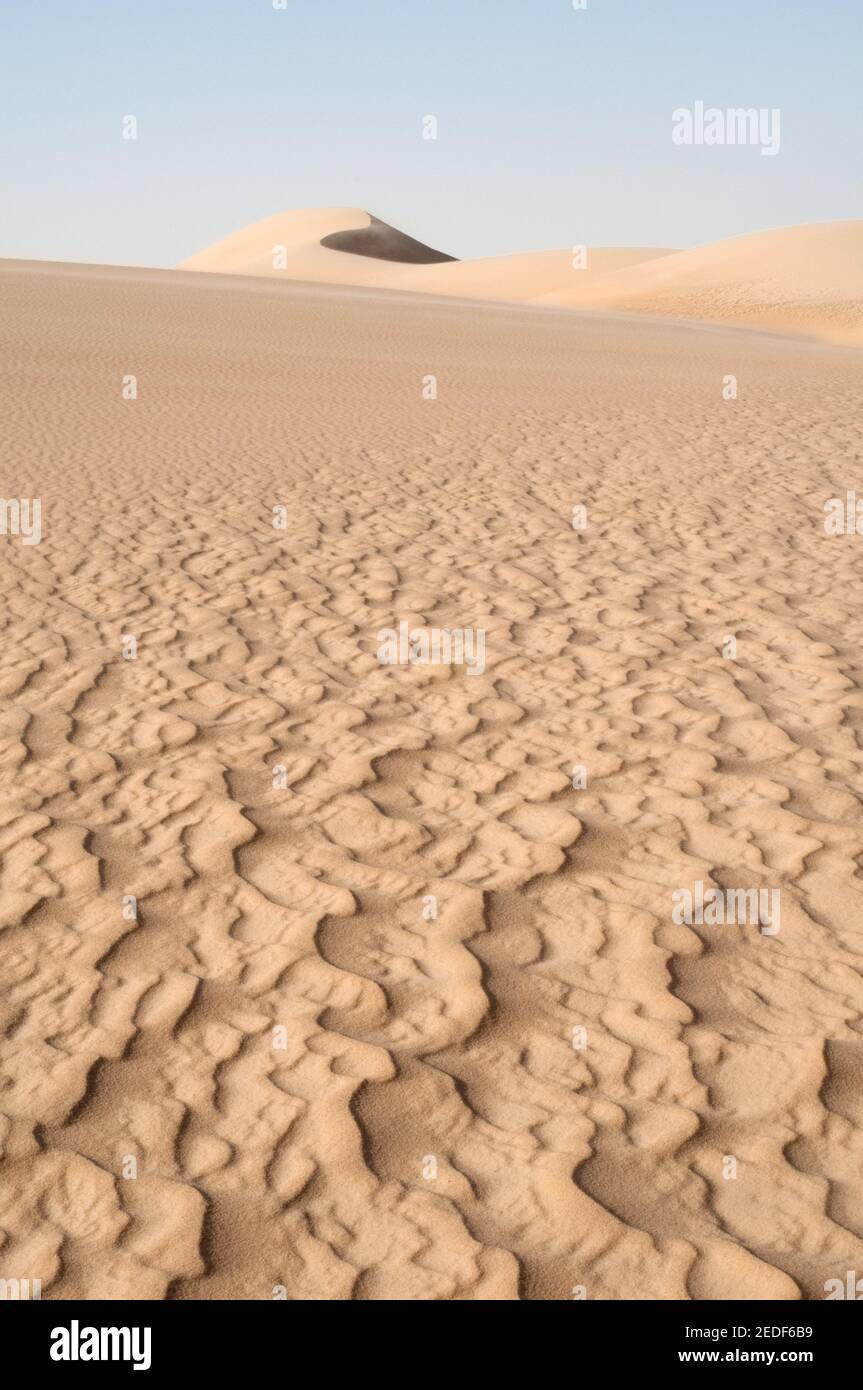 A giant whaleback sand dune stretching across the Great Sand Sea, in the Western Desert region of the Sahara Desert, Egypt. Stock Photo