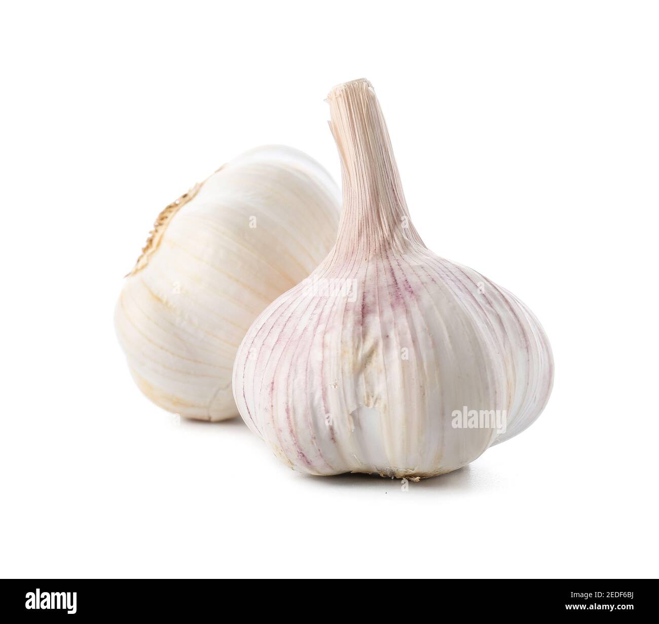 Fresh garlic on white background Stock Photo - Alamy