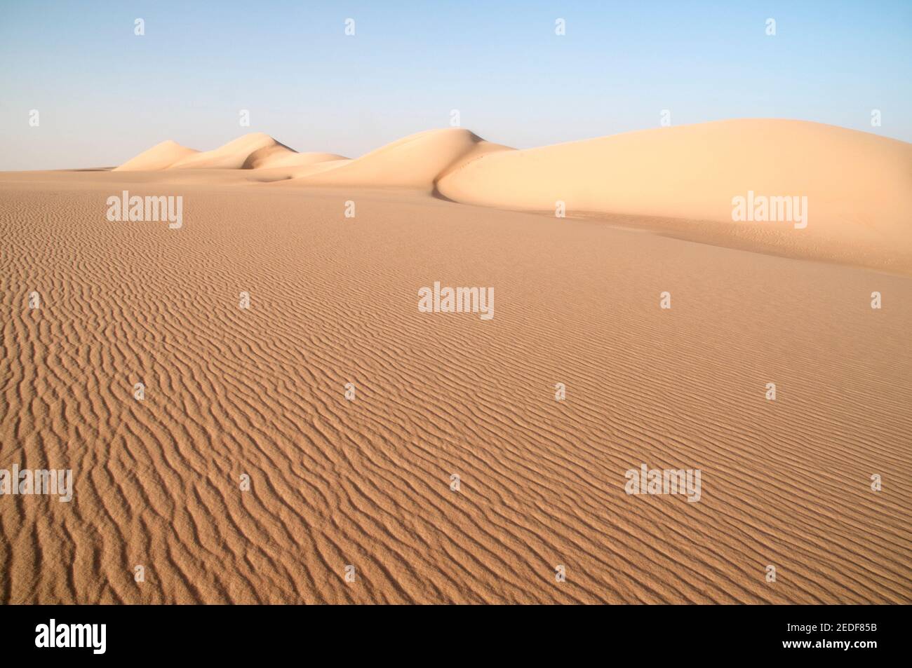 A giant whaleback sand dune stretching across the Great Sand Sea, in the Western Desert region of the Sahara Desert, Egypt. Stock Photo