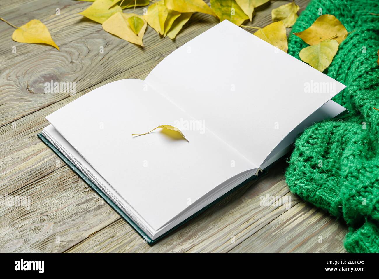 Empty book cover autumn leaves hi-res stock photography and images - Alamy