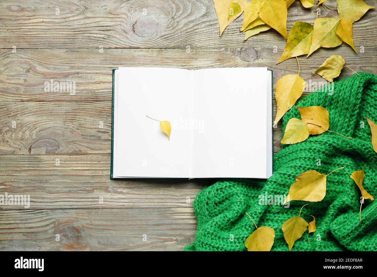 Empty book cover autumn leaves hi-res stock photography and images - Alamy
