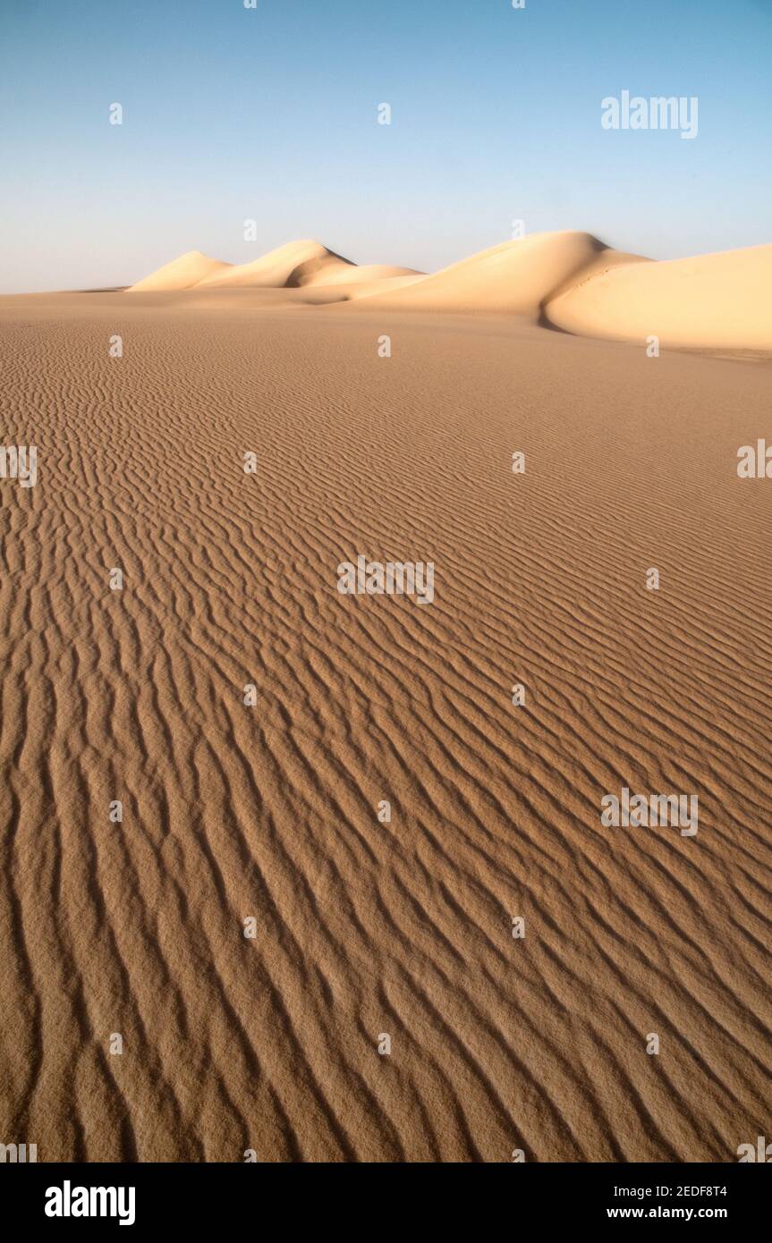 A giant whaleback sand dune stretching across the Great Sand Sea, in the Western Desert region of the Sahara Desert, Egypt. Stock Photo