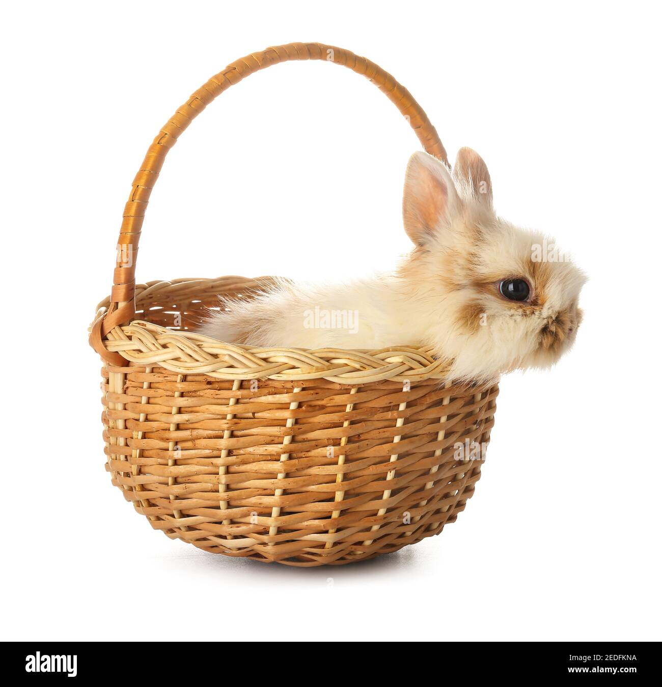 Cute rabbit in wicker basket on white background Stock Photo - Alamy