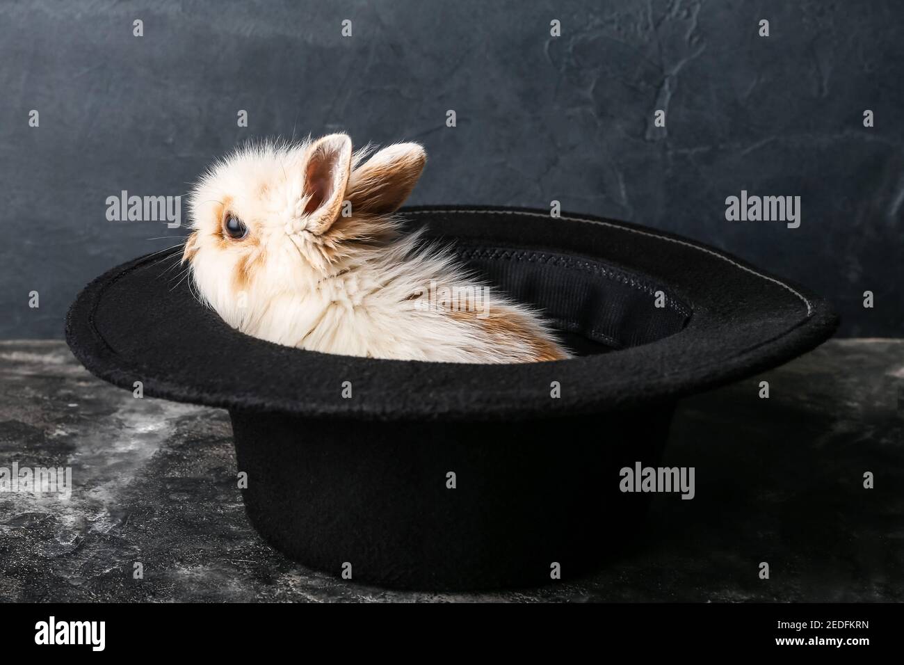 Magician hat with cute rabbit on dark background Stock Photo