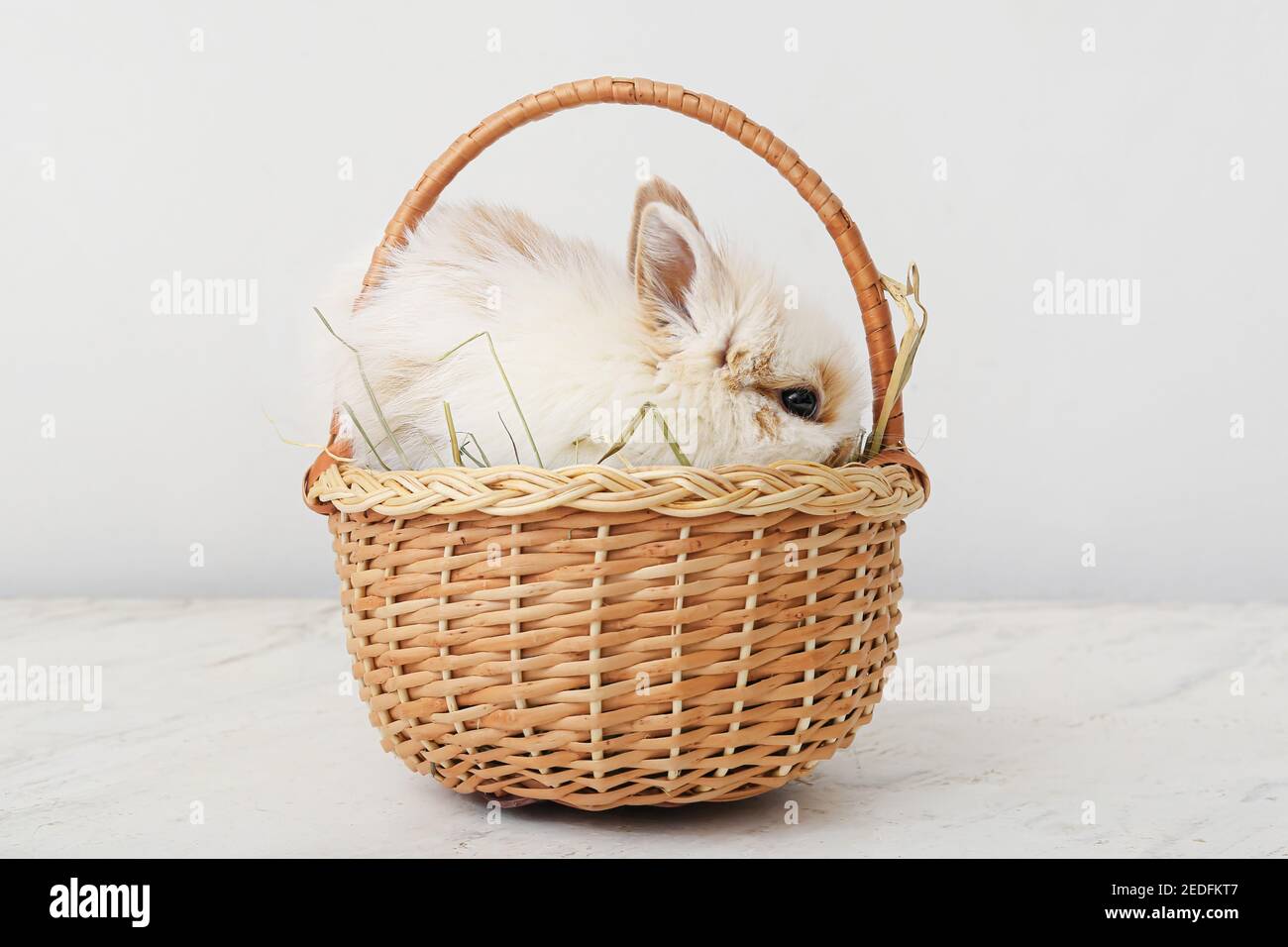 Cute rabbit in wicker basket on white background Stock Photo - Alamy