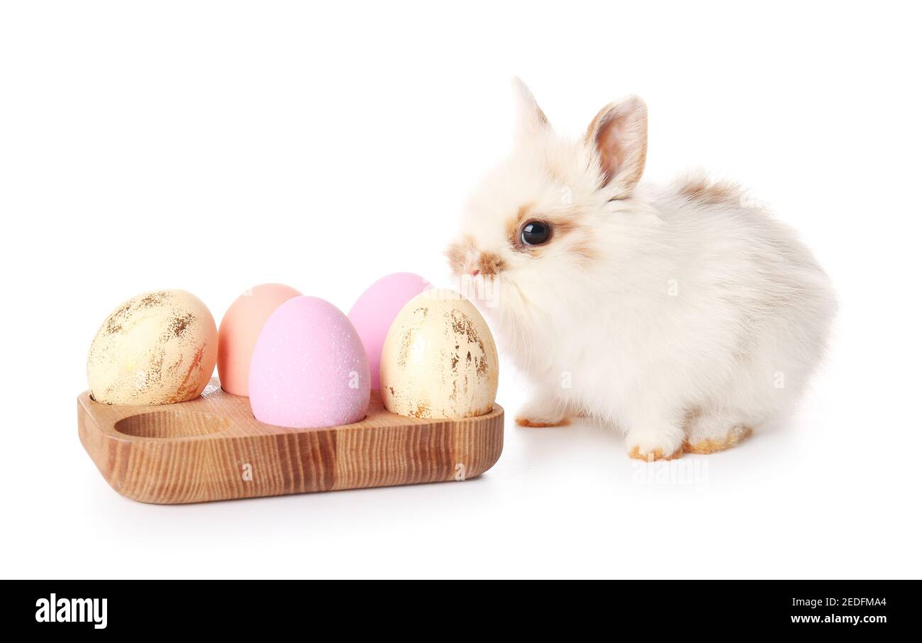 Cute rabbit and Easter eggs on white background Stock Photo - Alamy