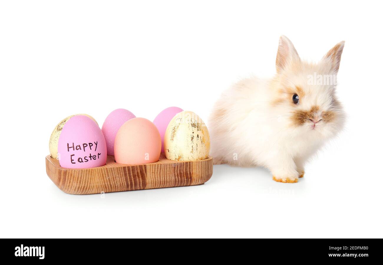 Cute rabbit and Easter eggs on white background Stock Photo - Alamy