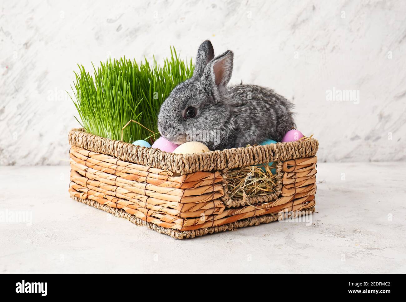 Cute rabbit in basket with Easter eggs and green grass on light ...