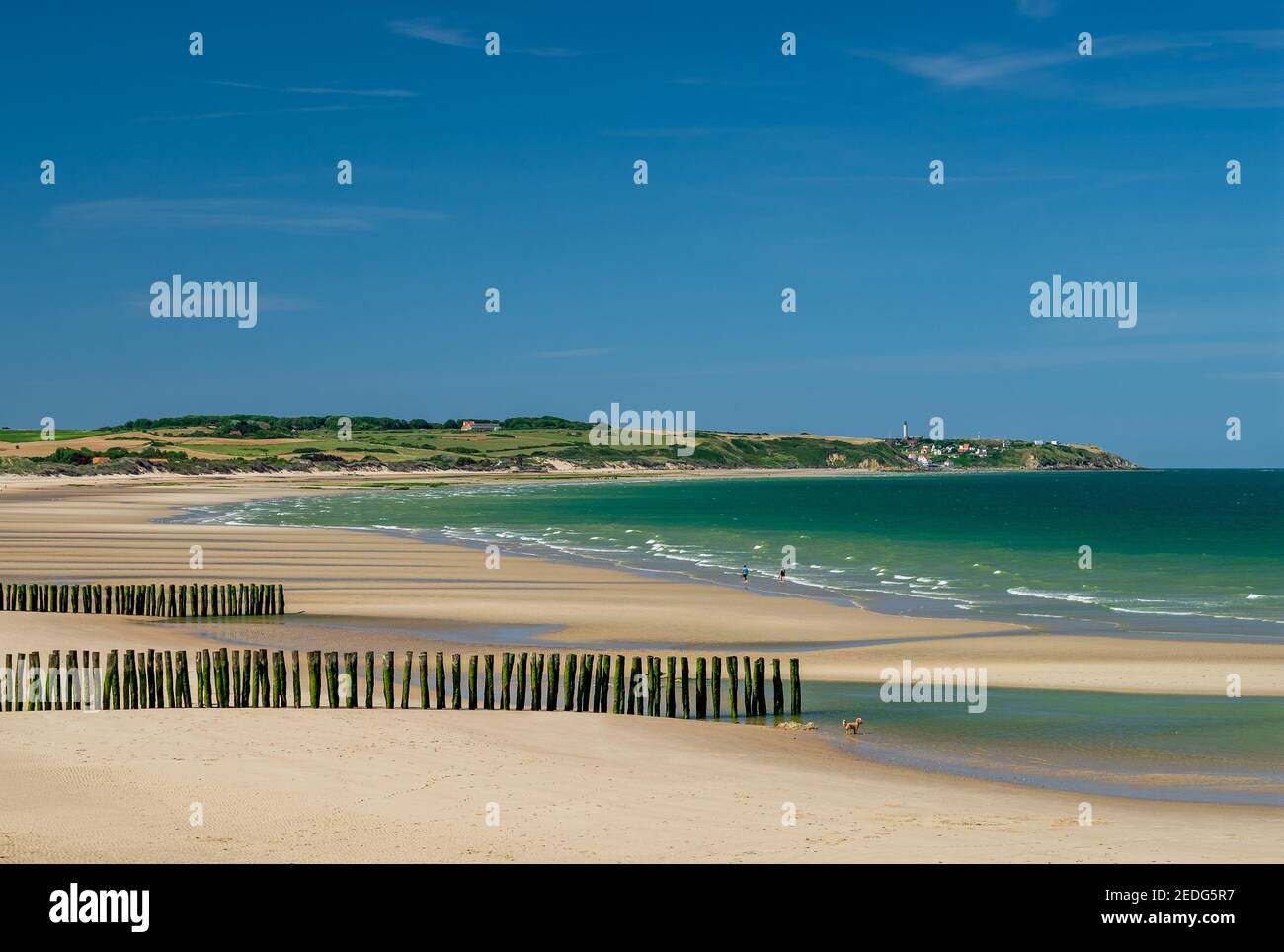 Mussel poles on the beach of Wissant on the Opal Coast in France Stock