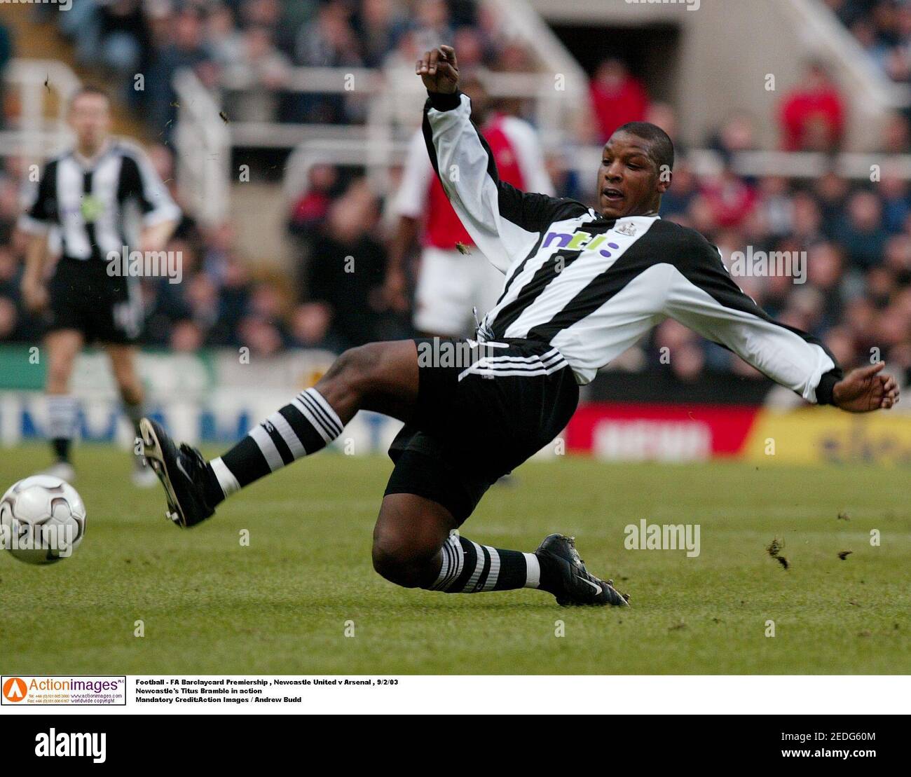 Titus bramble hi-res stock photography and images - Page 2 - Alamy